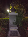 Estátua Professor Venerando de Freitas Borges