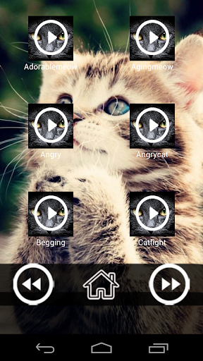 【免費音樂App】Cat Sound And Tones-APP點子