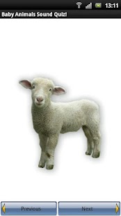 Baby Animals Sound Quiz! Screenshots 3
