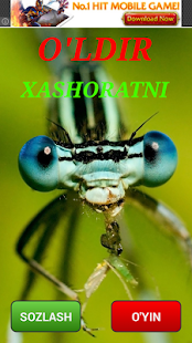 Lastest Xashoratni o'ldir Uyni tozala APK