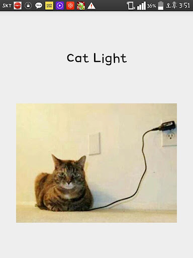 고양이 손전등 카와이 Cat light flash