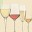 Wine & Wine Tasting Essentials Download on Windows