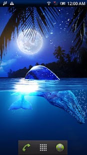 Whale Moon