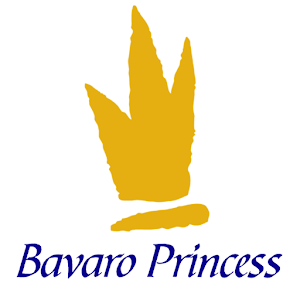 Bavaro Princess Resort.apk 0.1.5