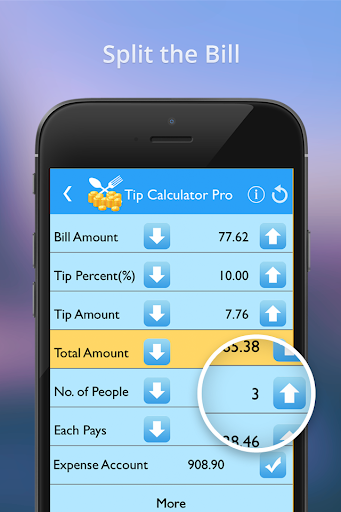 Global Tip Calculator Pro