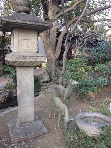 Stone Lantern And Two Deer
