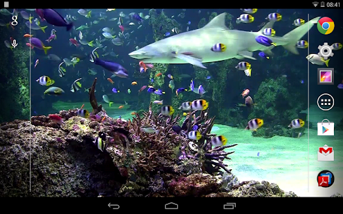 Free Aquarium live wallpaper APK