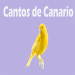 Cantos de Canario Apk