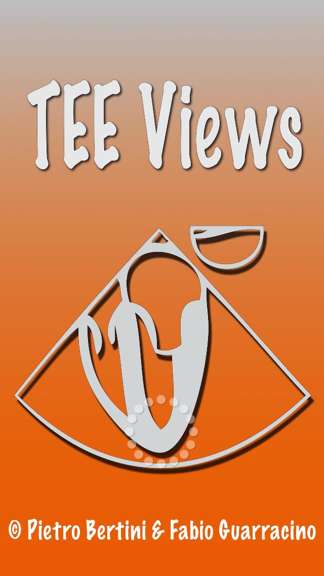 TEE Views Screen 1