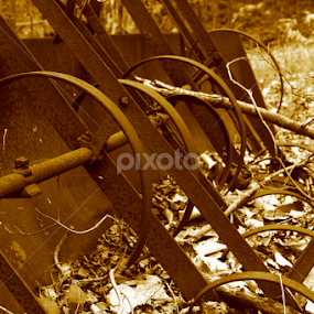 by Jerry Houle - Artistic Objects Antiques