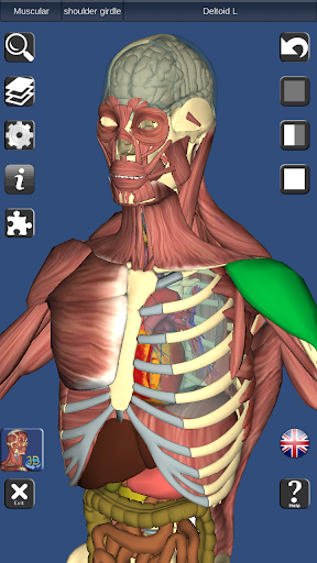 3D Anatomy Lite