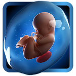 PregApp - 3D Pregnancy Tracker Apk