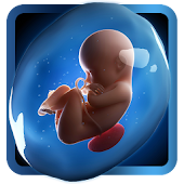 PregApp - 3D Pregnancy Tracker