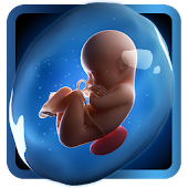PregApp - pregnancy in 3D