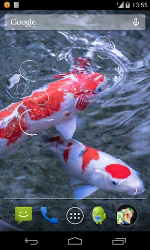 Koi fish Live Wallpaper