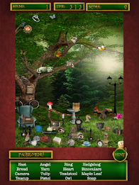 Hidden Objects Lost Forest poster 13
