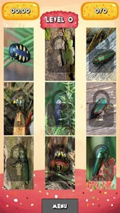 How to install Buprestis beetle Jigsaw 1.0 mod apk for android