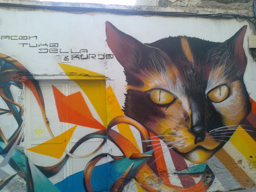 Graffitis El Gato