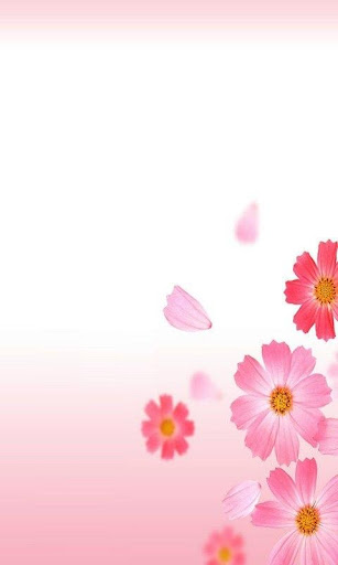 【免費娛樂App】Sakura flower HD Wallpaper-APP點子