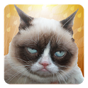 Grumpy Cat: Unimpressed icon