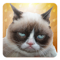 Grumpy Cat: Unimpressed icon