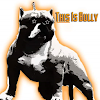 THISISBULLY.COM