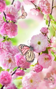 Download floral wallpaper APK