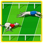 Dog Race Game Apk