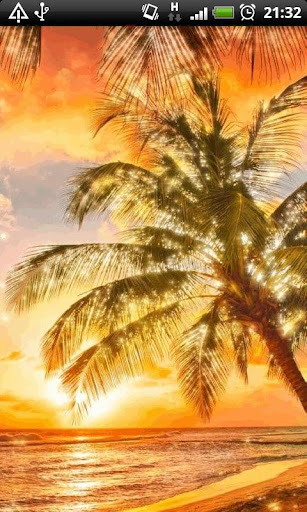 Summer Beach Live Wallpaper