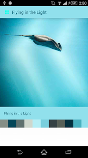 Support library Samples Screenshots 5