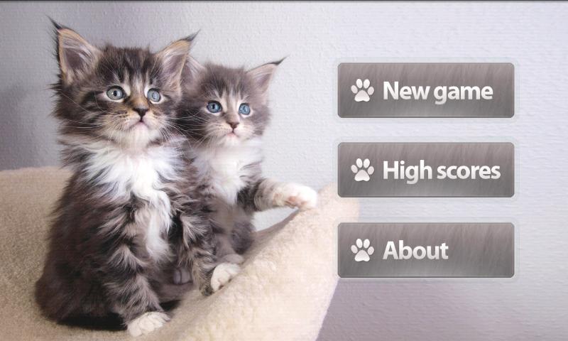 Cats Memory Game Screen 1