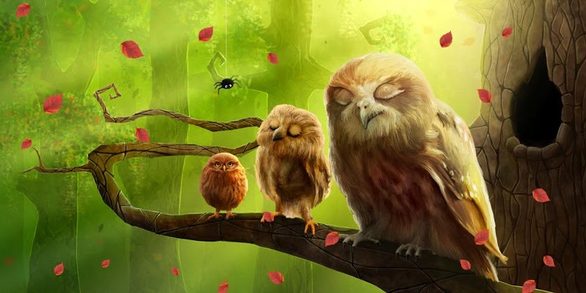 Owls Forest Live Wallpaper Screen 3