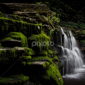 Cayuga Falls, 11' by Michael Sharp - Nature Up Close Water