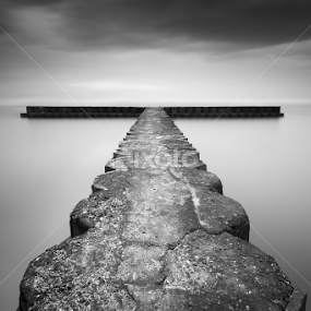 T by Eggy Sayoga - Black & White Landscapes