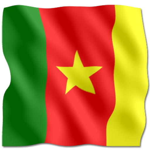 3D Flag Cameroon LWP LOGO-APP點子