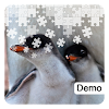 Penguin Jigsaw Puzzles Demo