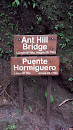 Ant Hill Bridge - Arenal Hanging Bridges