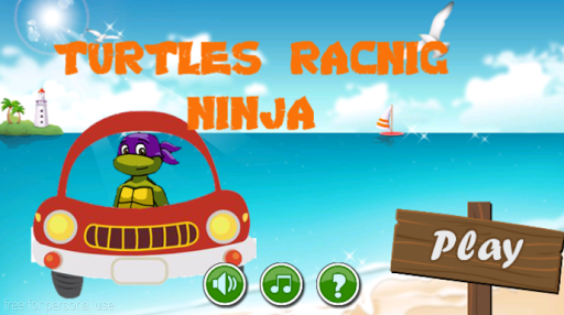 Turtle ninja racing