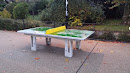 La Table De Ping-Pong