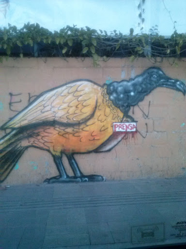 Graffiti Zopilote ENEE