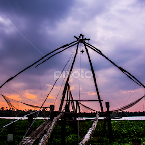 ibis by Mohammed Arief - Landscapes Travel