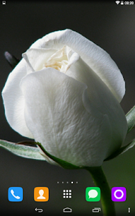 How to mod White Rose Live Wallpaper lastet apk for bluestacks