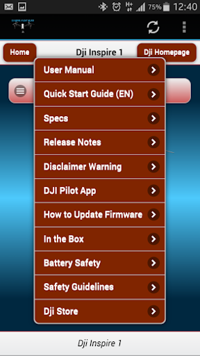 Dji Inspire 1 Flight Helper