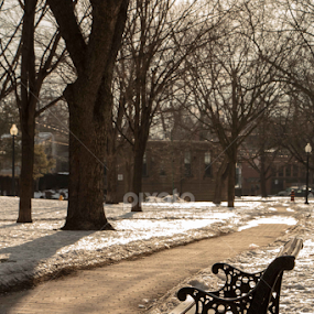 winter bench by Elsie Nisonen - City,  Street & Park City Parks