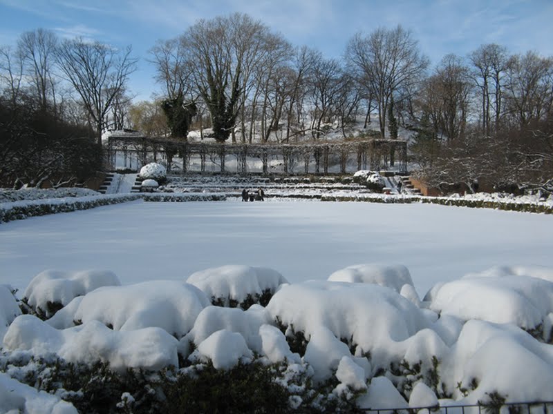Wisteria pergola, Italian Garden, Central Park
