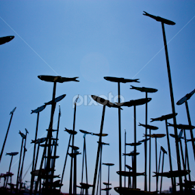 FiSH by John Cooper - Buildings & Architecture Statues & Monuments