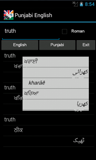 English Punjabi Dictionary