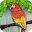 Mabell's Zoo: Multi-touch Book Download on Windows