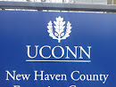 UConn at New Haven