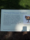 Theropod Dinosaur Trackway